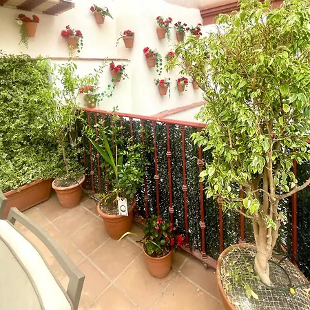 Apartment Maravilloso Centrico De 70m2, Jardin Propio 40m2 Con Piscina Ninos Y Parking Opcional Malaga