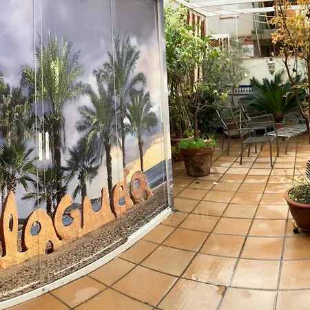 Maravilloso Centrico De 70m2, Jardin Propio 40m2 Con Piscina Ninos Y Parking Opcional Malaga