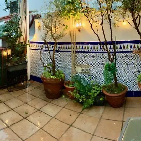 Maravilloso Centrico De 70m2, Jardin Propio 40m2 Con Piscina Ninos Y Parking Opcional